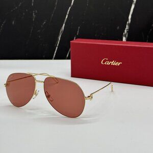 NEW CARTIER CT0110S 009 GOLD MEN SUNGLASSES CARTIER